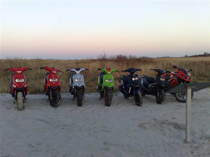 Gilera stalker solgt billede 13