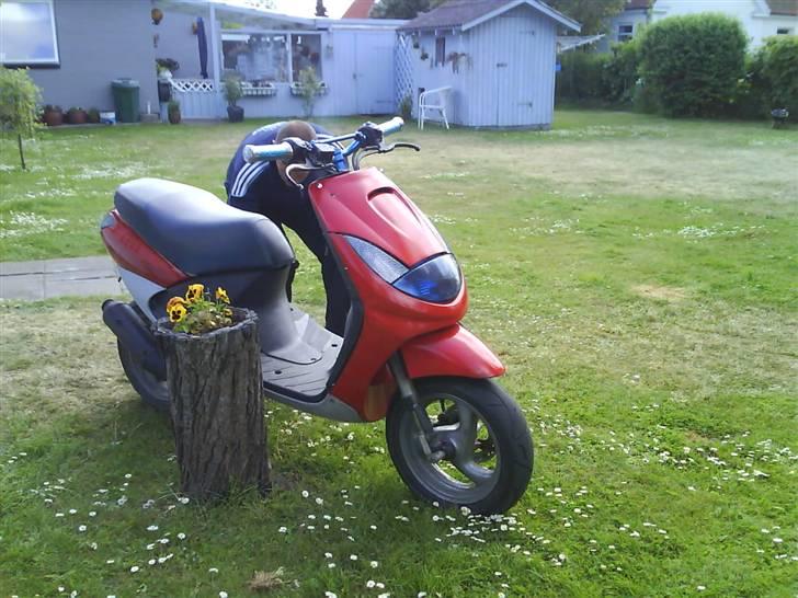 Peugeot vivacity BYTTET TIL BWS billede 10