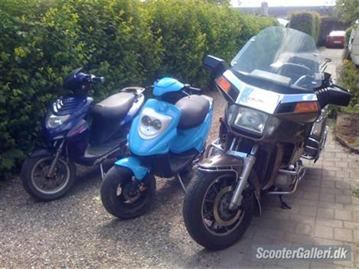 CPI Oliver City ## SOGLT ## - min helt til venste så bonas og så morfar billede 9