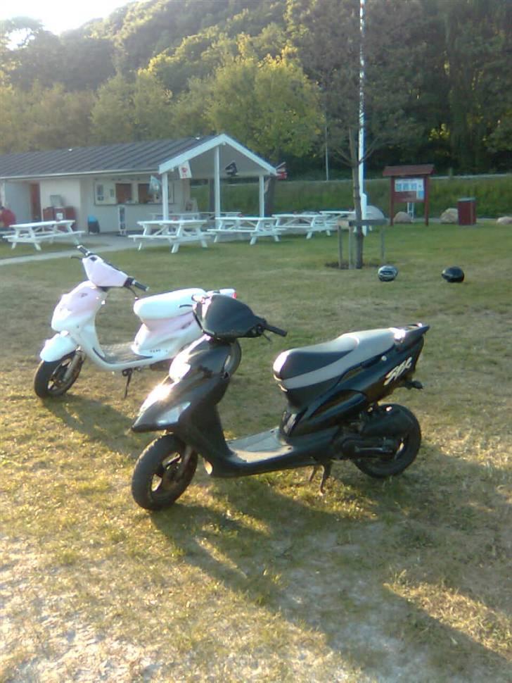 Honda sfx  billede 4