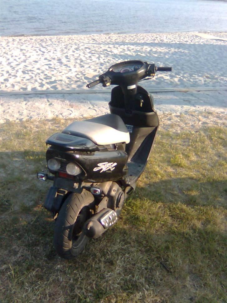 Honda sfx  billede 5