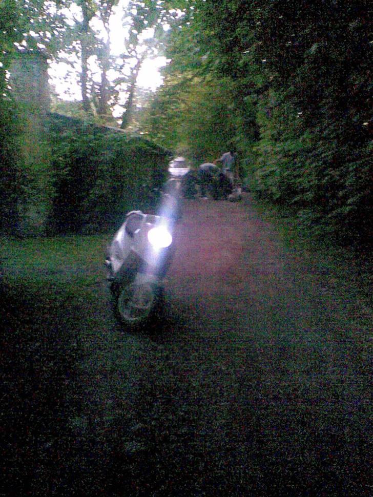 PGO Hot 50  billede 14