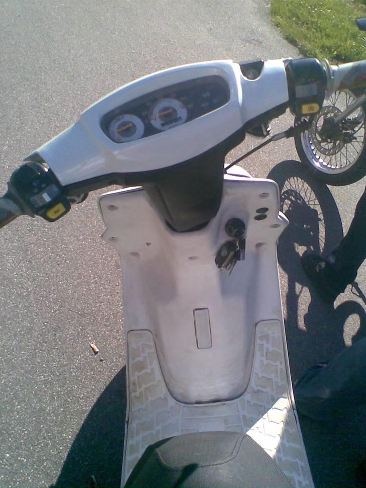 PGO Hot 50  billede 15