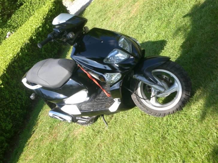 PGO Dr. Big billede 2