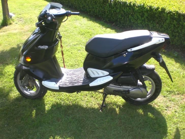 PGO Dr. Big billede 4