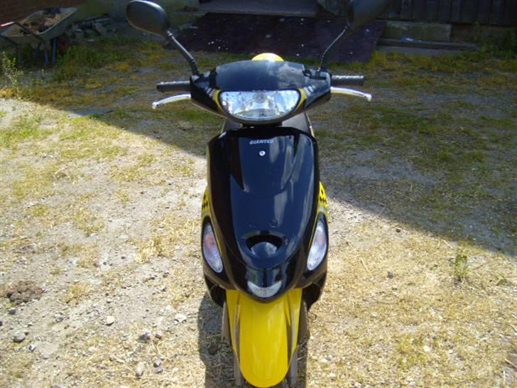 Giantco sprint sport  - forfra billede 6