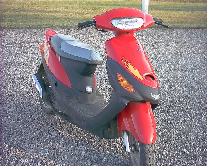 Zhongyu Listo 45 (solgt) billede 1