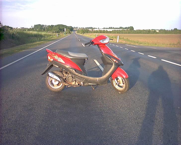 Zhongyu Listo 45 (solgt) billede 2