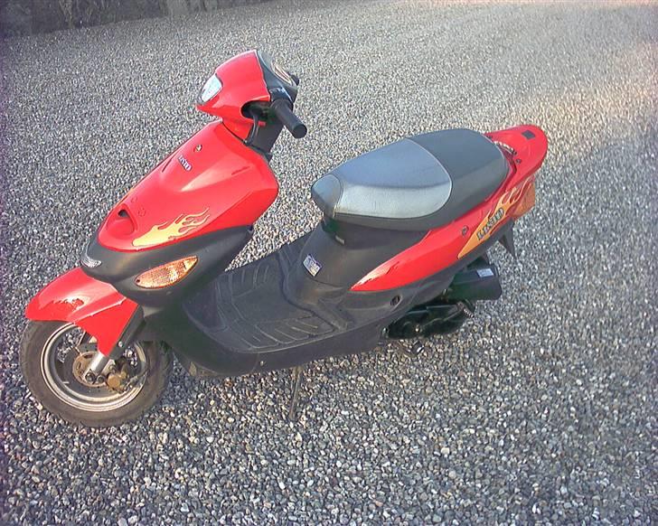 Zhongyu Listo 45 (solgt) billede 3