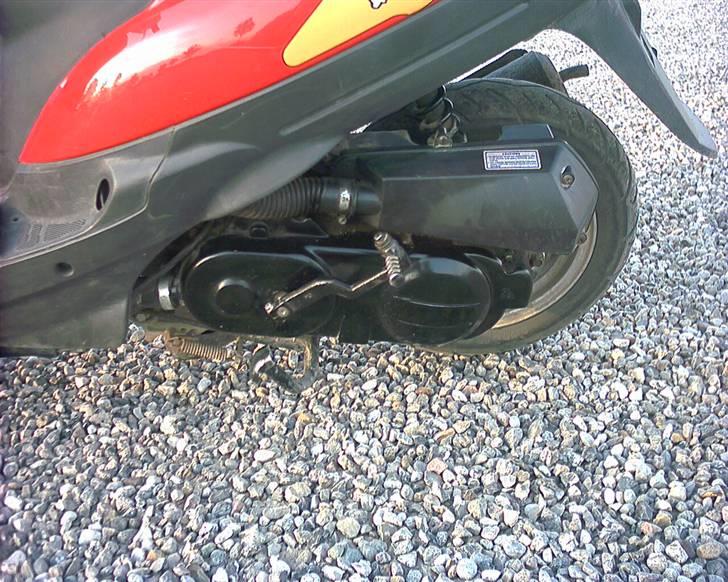 Zhongyu Listo 45 (solgt) billede 4