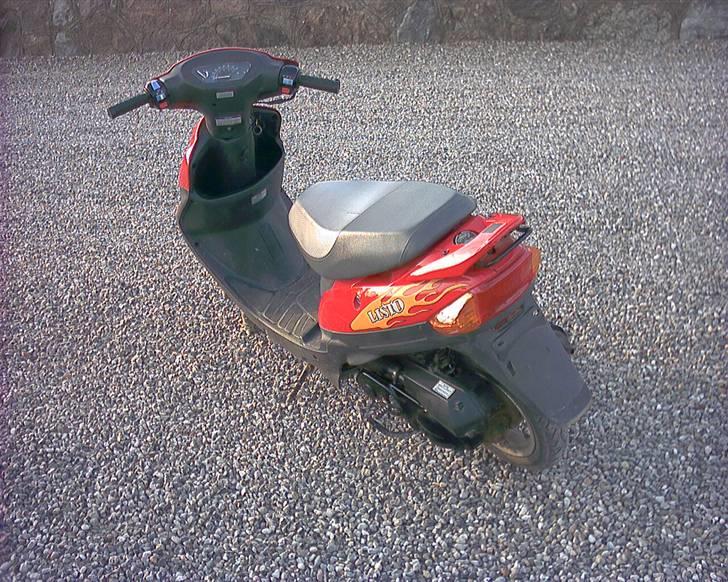 Zhongyu Listo 45 (solgt) billede 5