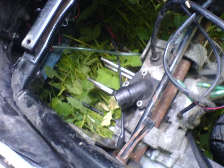 CPI Oliver City billede 3