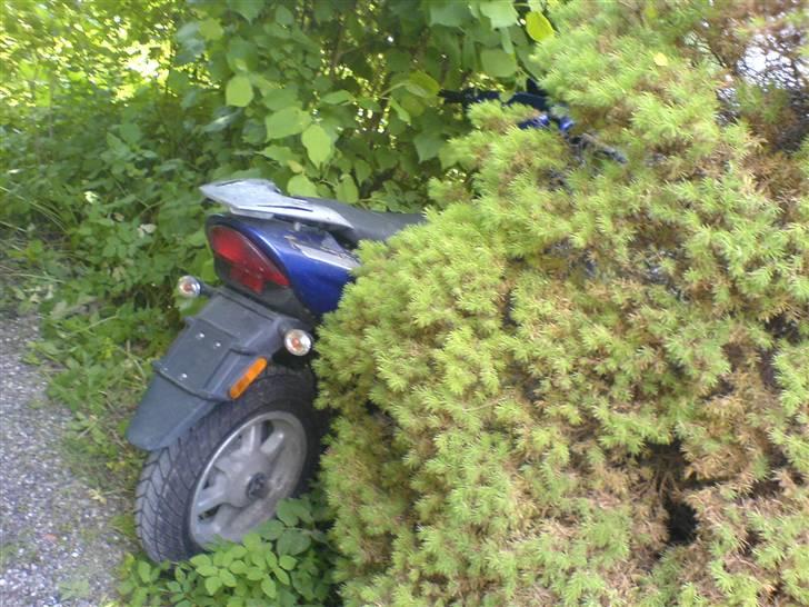 CPI Oliver City billede 6