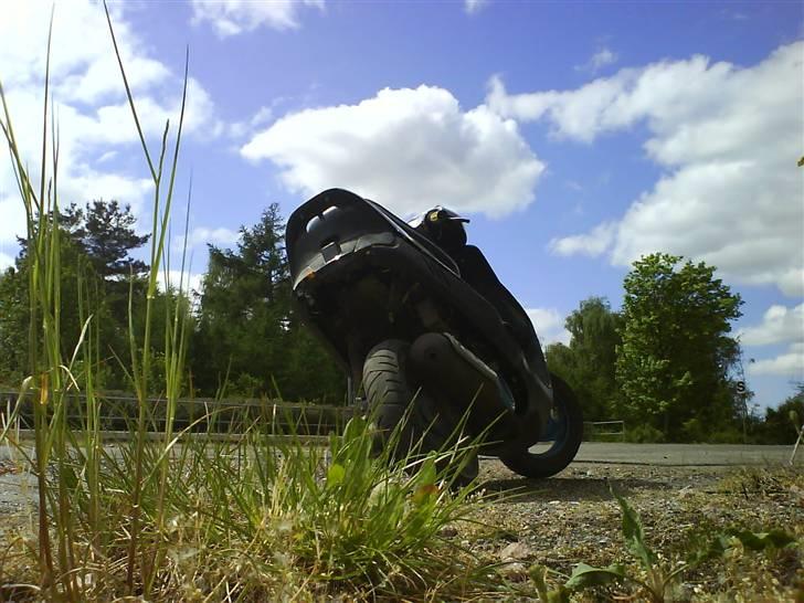 Kreidler Easy Rider: blevet væk billede 5