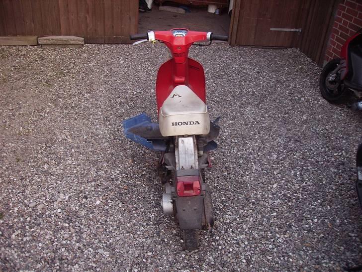 Honda Melody - Solgt billede 7