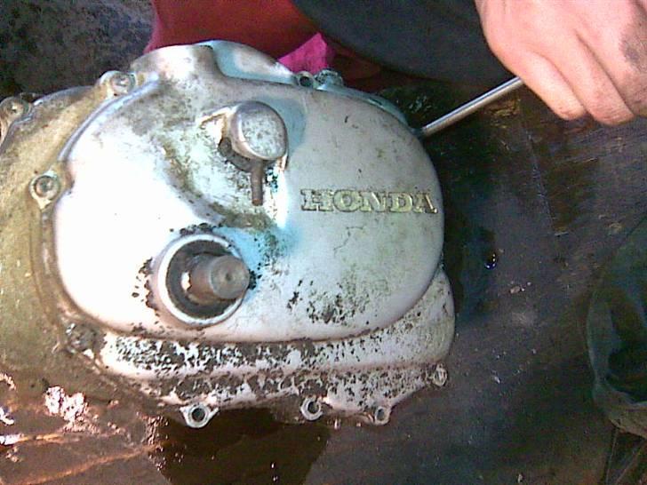 Garelli Kátia - Honda motoren. billede 8