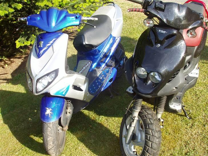 Peugeot speedfight 2 byttet billede 7