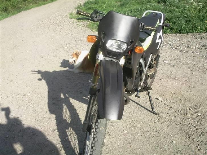 Suzuki Rmx BYTTET :'( billede 14