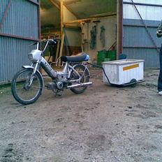 Puch maxi (k) (TIL SALG)