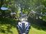 Kinroad chopper