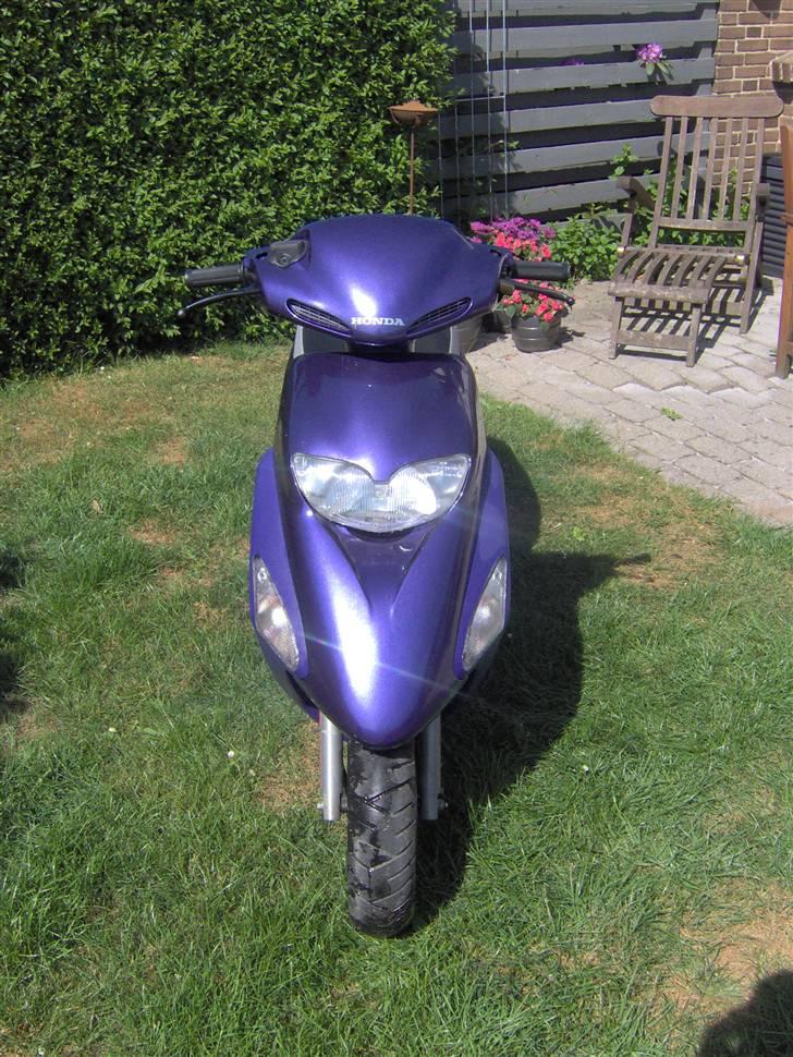 Honda SFX billede 3