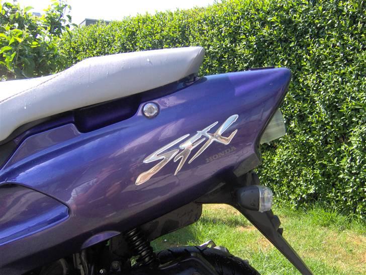 Honda SFX billede 5