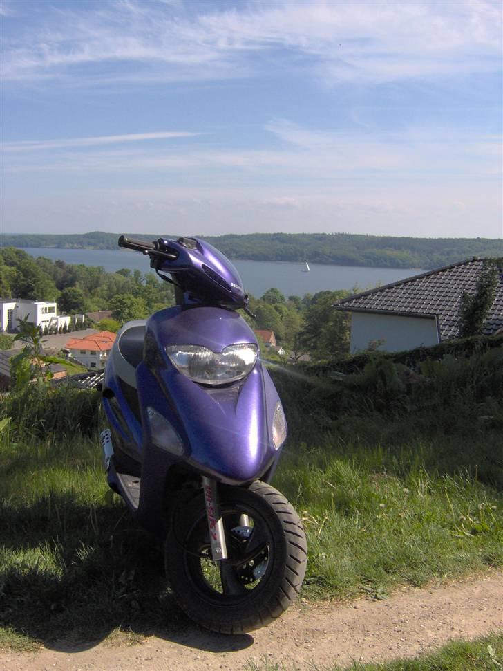 Honda SFX billede 7