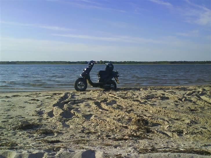 PGO Hot 50 solgt billede 6