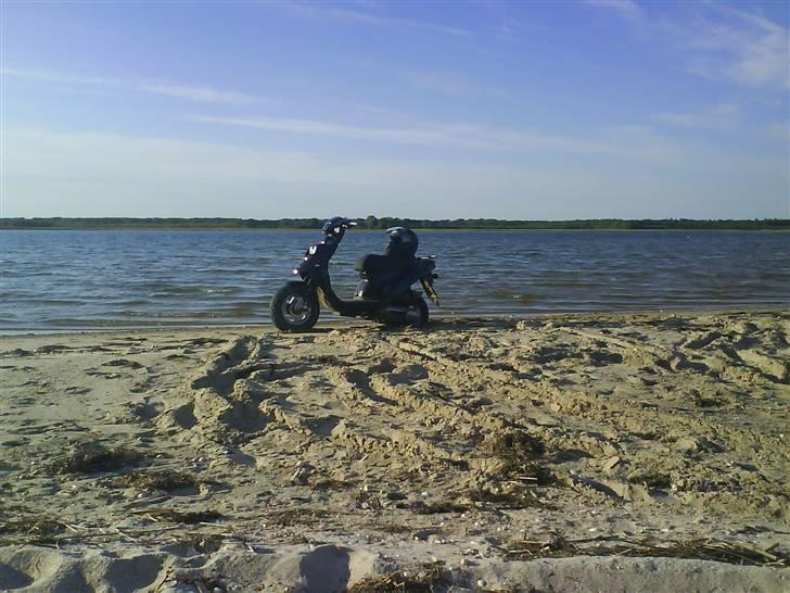 PGO Hot 50 solgt billede 7