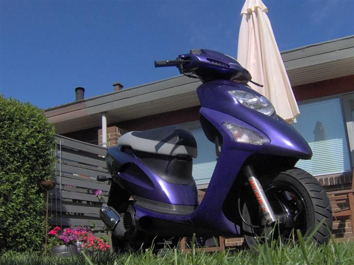 Honda SFX billede 10