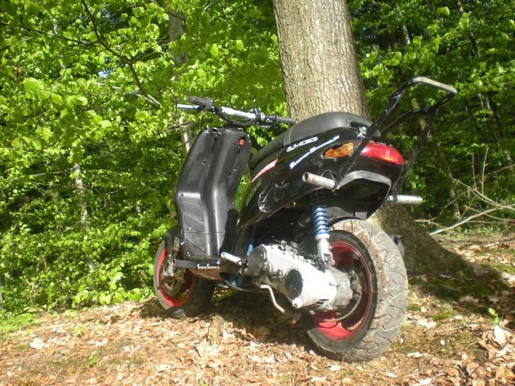 Piaggio Typhoon stuntbike billede 5