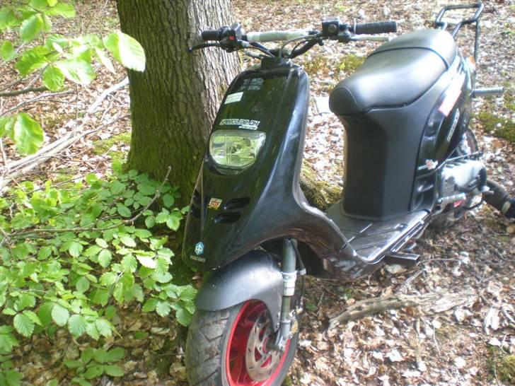 Piaggio Typhoon stuntbike billede 2