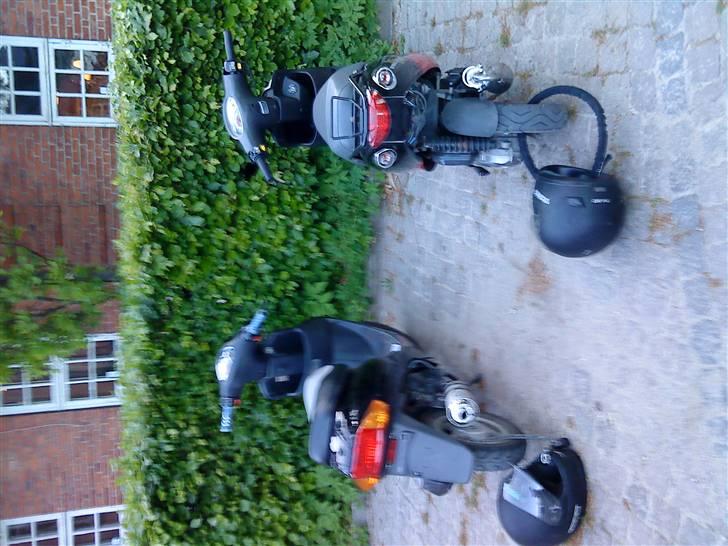 PGO Galaxy 50 billede 5