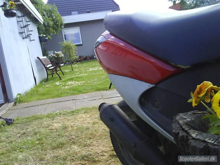 Peugeot vivacity brændt billede 5