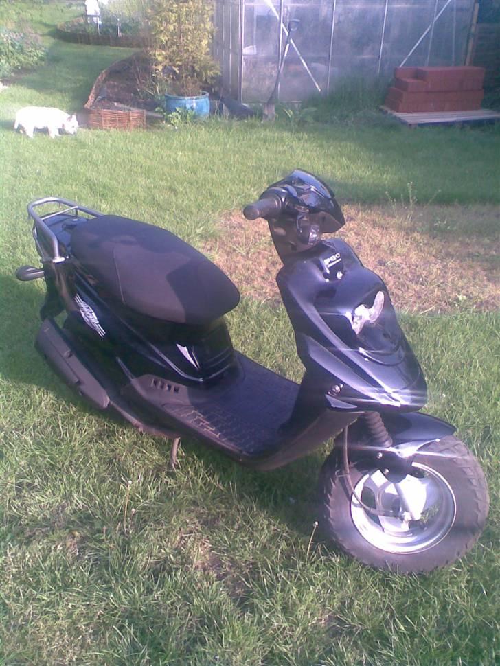 PGO hot 50 billede 1