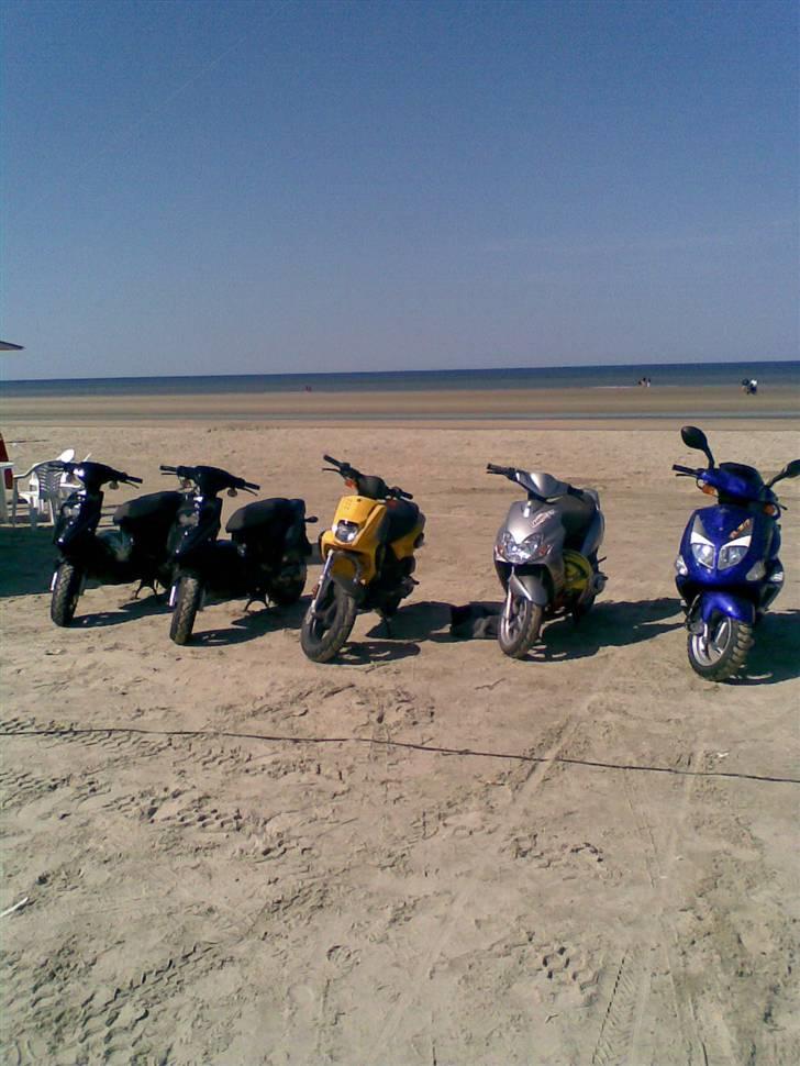 PGO hot 50 billede 5