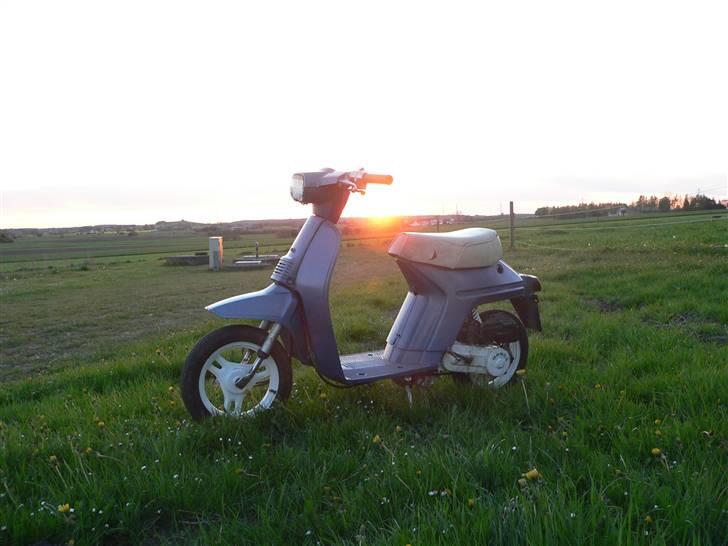 Honda Melody NT50  (Efter) !!!! billede 4