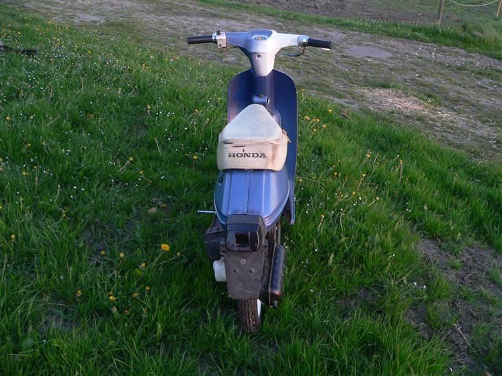 Honda Melody NT50  (Efter) !!!! billede 7