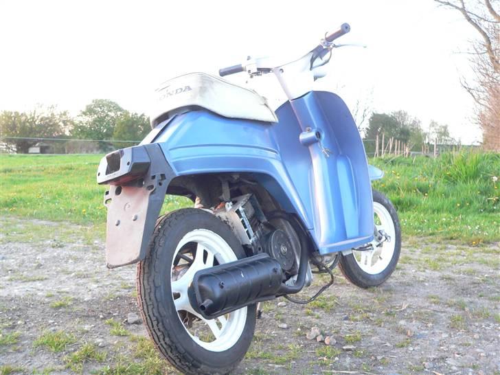 Honda Melody NT50  (Efter) !!!! billede 10