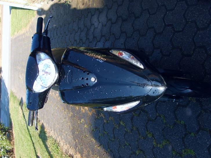 PGO black magic billede 4