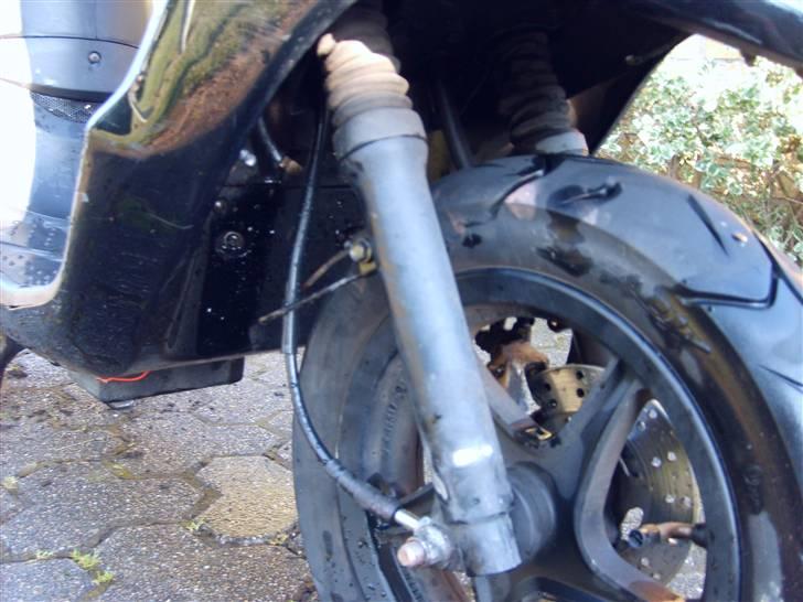 PGO black magic billede 15