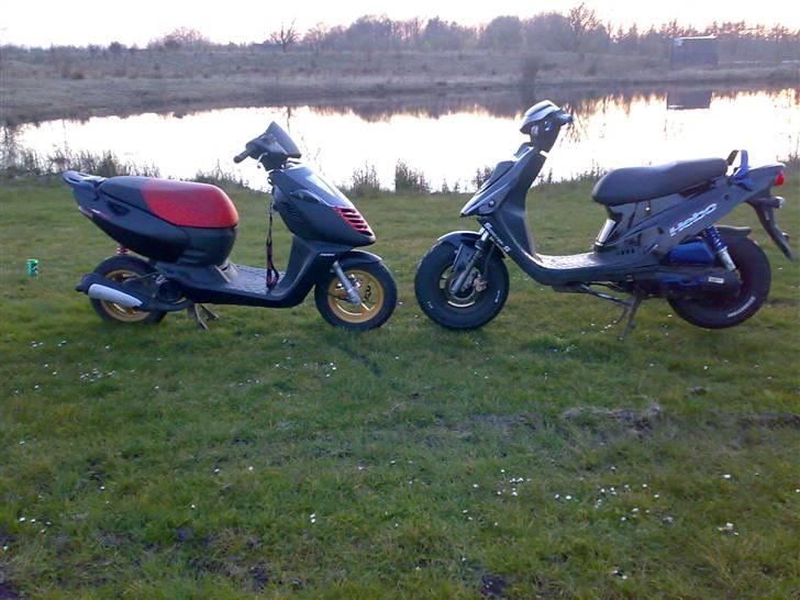 PGO HOT / BLACK DICK / Vågnet - Mig og min homie jakobsen på tur..  billede 17