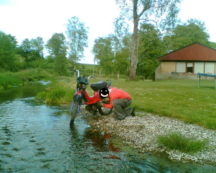 Yamaha Stingker - Byttet - kews tilbeder vilddyret! billede 6