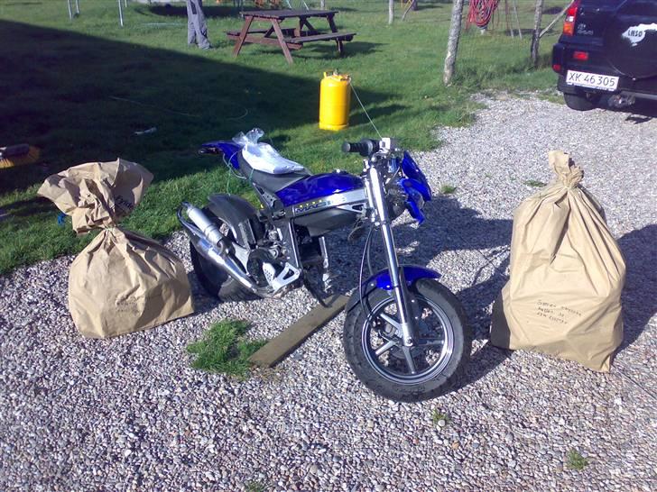 Suzuki Street Magic solgt - Da jeg sagde farvel til hende TRIST dag savner hende billede 10