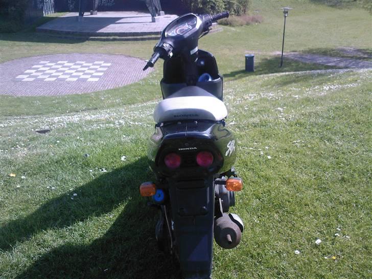 Honda SFX 50 [SOLGT] billede 6