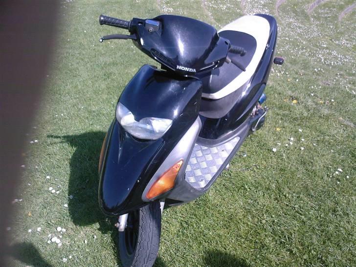 Honda SFX 50 [SOLGT] billede 9