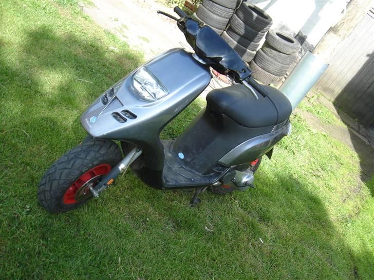Piaggio thypphon til salg billede 1
