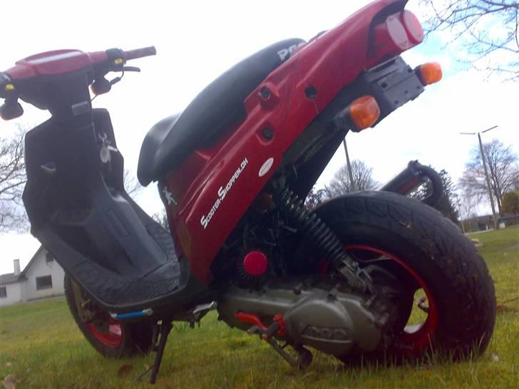 PGO Hot / Red Devil / TILSALG - Inden Den Skulle Laves Til Baneracer! billede 2