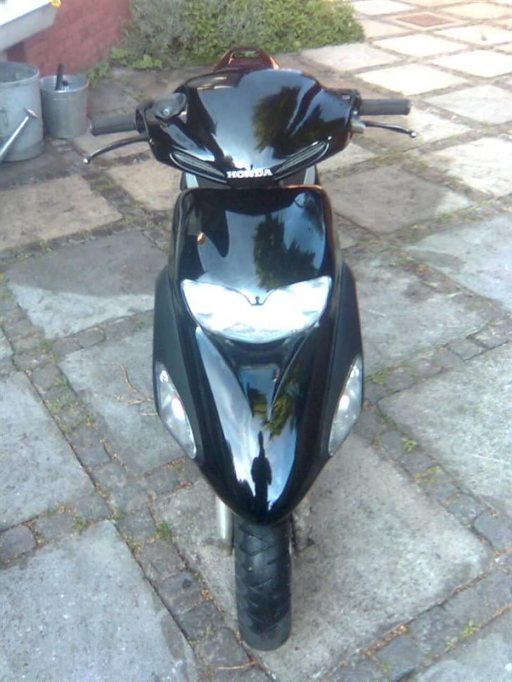 Honda sfx  billede 6