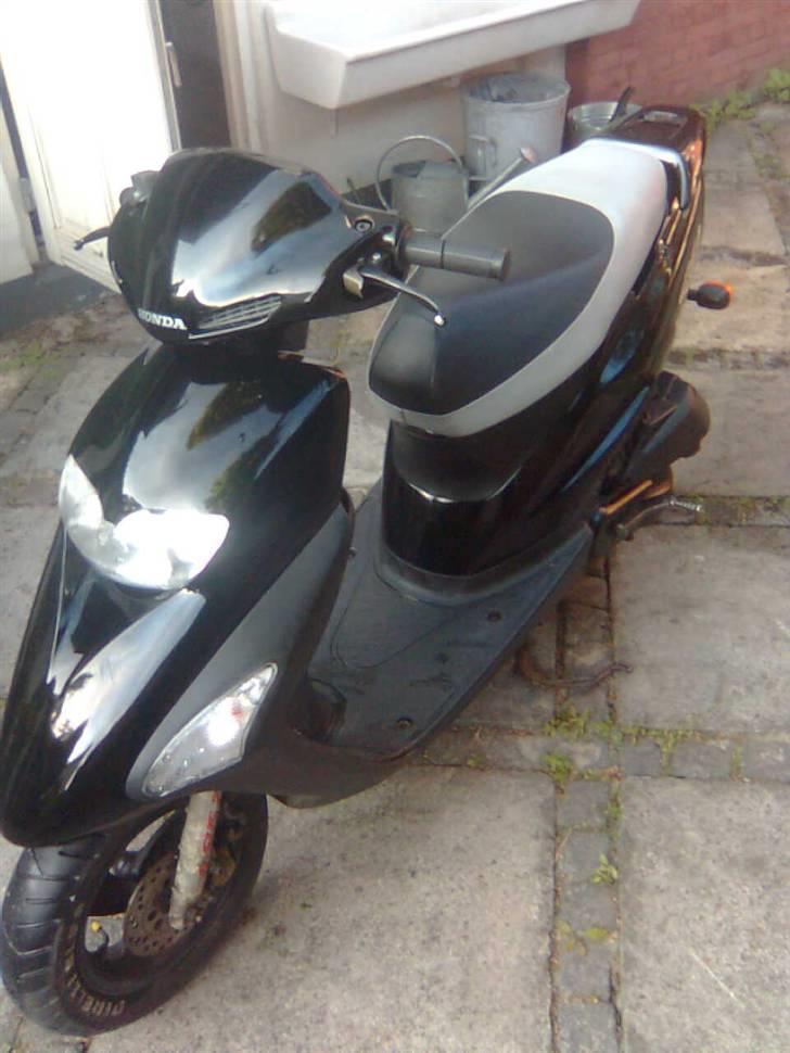 Honda sfx  billede 7